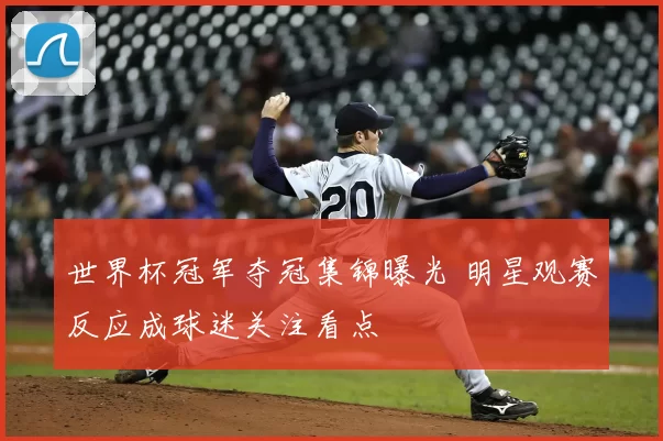 世界杯冠军夺冠集锦曝光 明星观赛反应成球迷关注看点