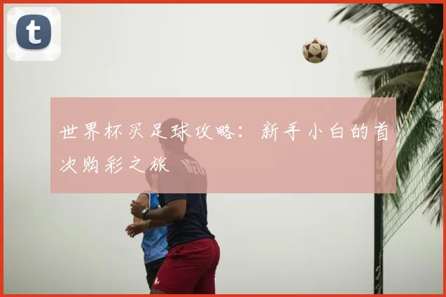世界杯买足球攻略:新手小白的首次购彩之旅