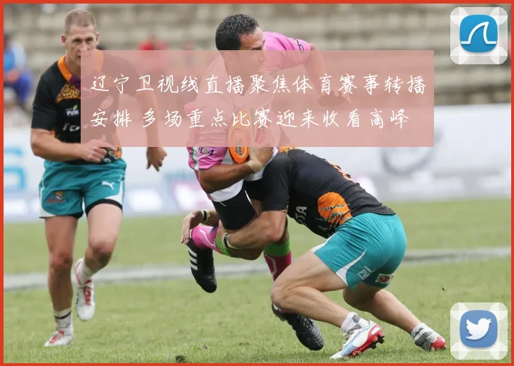辽宁卫视线直播聚焦体育赛事转播安排 多场重点比赛迎来收看高峰