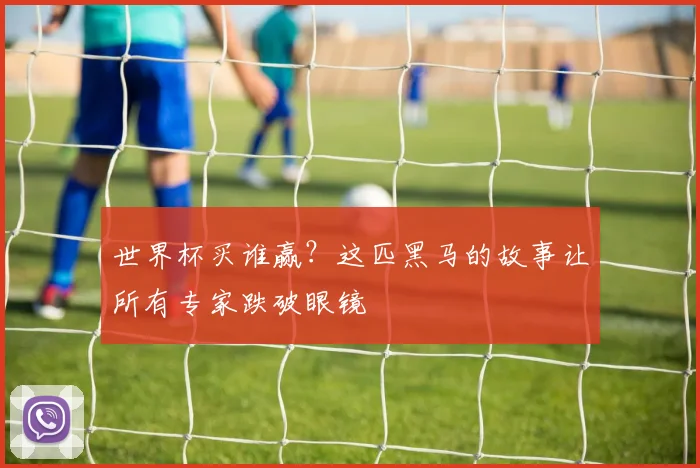 世界杯买谁赢?这匹黑马的故事让所有专家跌破眼镜