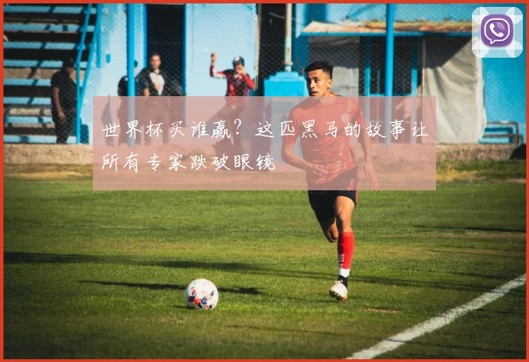世界杯买谁赢？这匹黑马的故事让所有专家跌破眼镜